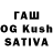 Галлюциногенные грибы MAGIC MUSHROOMS WaryHint Anonim