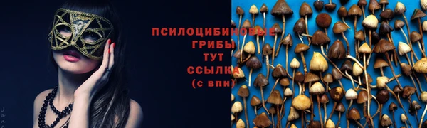 spice Верхний Тагил