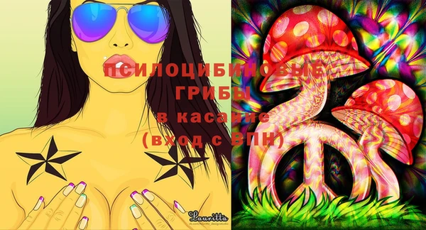 spice Верхний Тагил