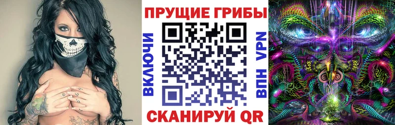 Псилоцибиновые грибы ЛСД  darknet телеграм  Чита 